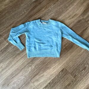 Everlane Light Blue Wool Cashmere Crewneck Sweater
